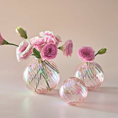 Glass Ball Vases Set for Home Decor