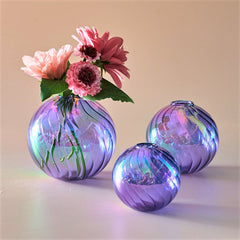 Glass Ball Vases Set for Home Decor