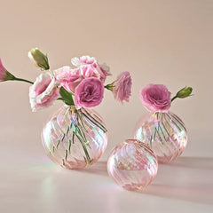 Glass Ball Vases Set for Home Decor